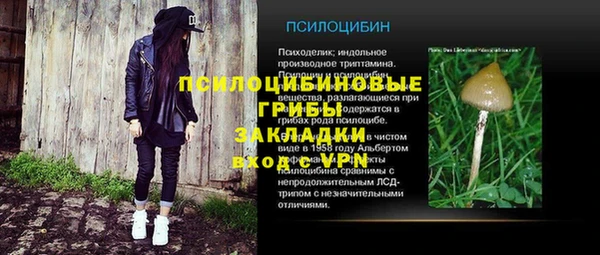 мдпв Навашино