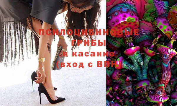 дживик Абинск