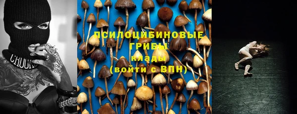 дживик Абинск